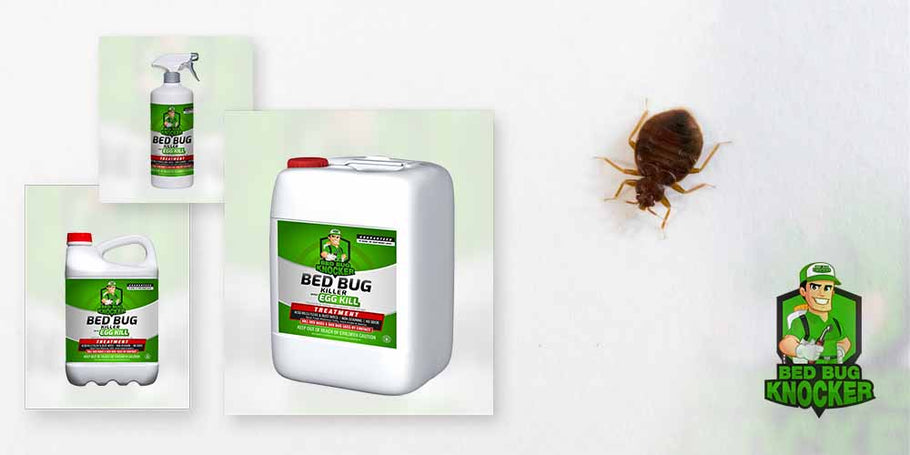 Why choose Bed Bug Knocker's Bed bug treatment ?